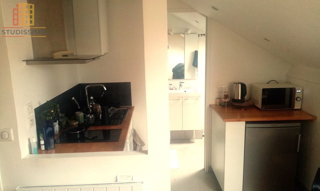 Studio 24m² Nogent-sur-Marne - Dernier étage, lumineux - Photo 1