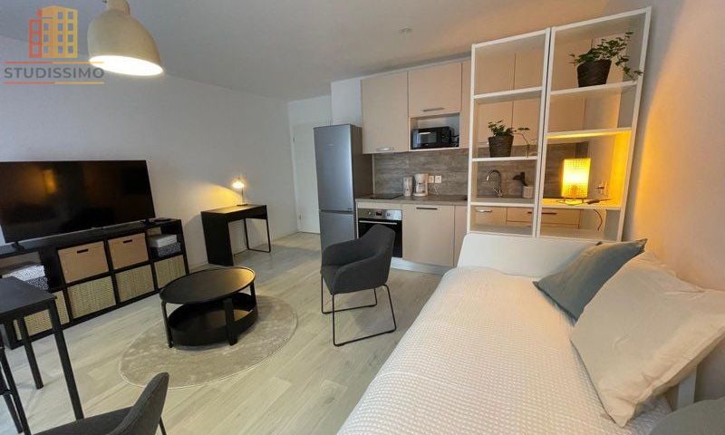 Studio 30m² Arpajon - Meublé, stationnement extérieur - Photo 9