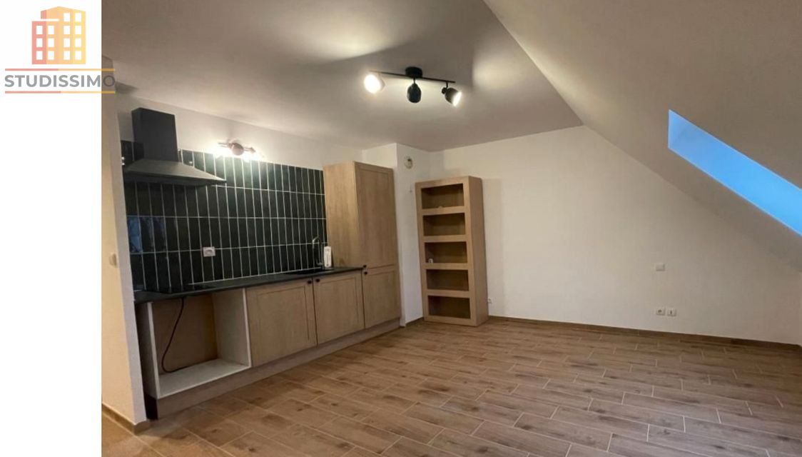 Studio 24m² Auvers-Saint-Georges - Dernier étage, lumineux - Photo 1