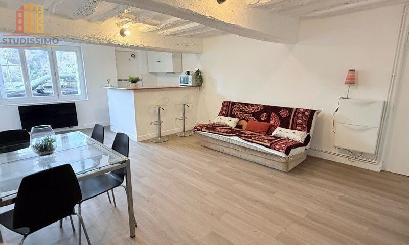 Studio 31m² L'Isle-Adam - Lumineux - Photo 4