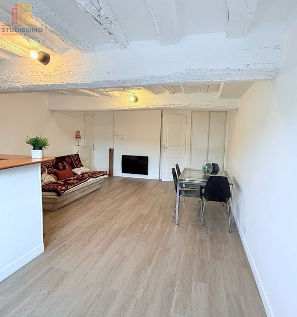 Studio 31m² L'Isle-Adam - Lumineux - Photo 3