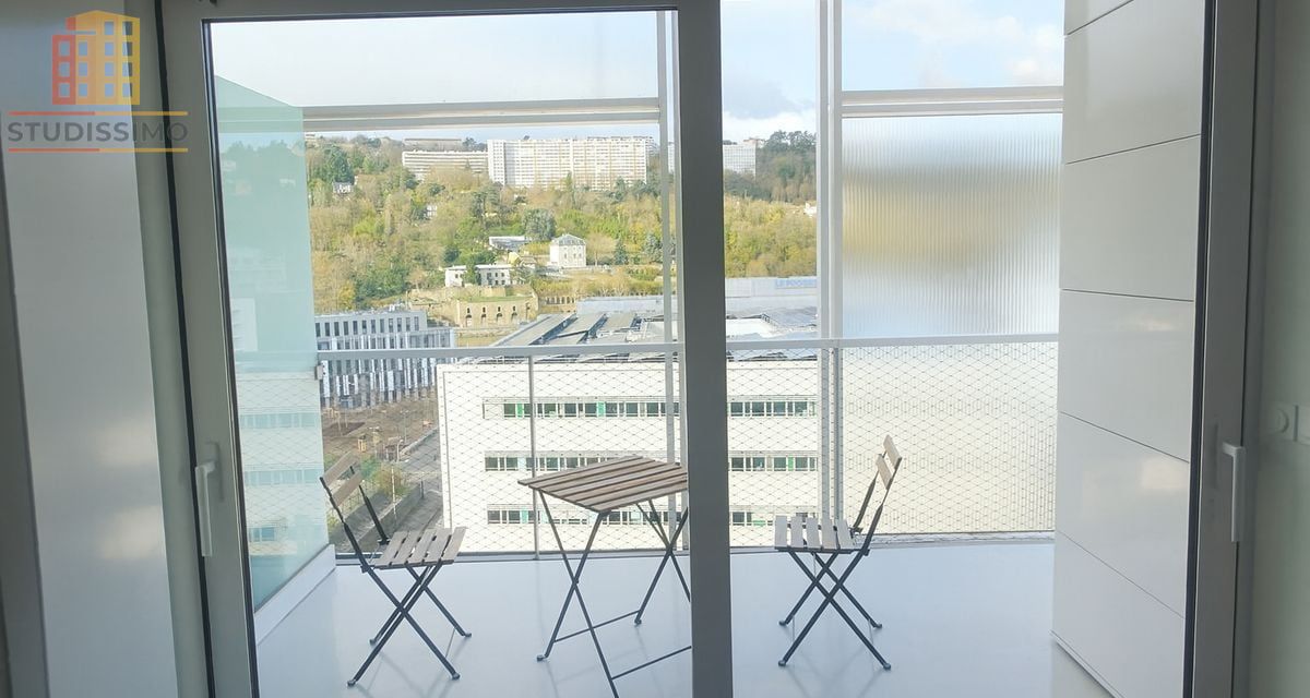 Studio 37m² Lyon 2e Confluence - Terrasse, vue Saône/Fourvière - Photo 2