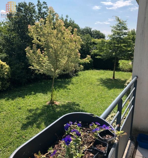 Studio 26m² Aucamville 31140 - 1er étage - Photo 1