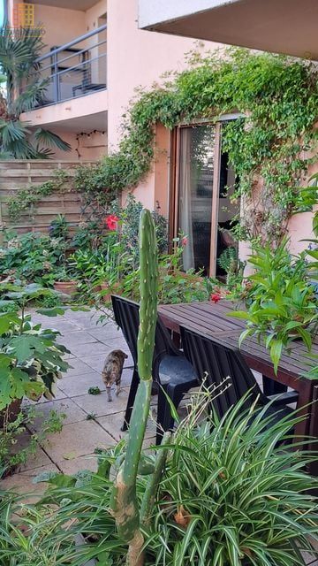 Studio 46m² Toulouse 31500 - Coup de cœur, charmant - Photo 4