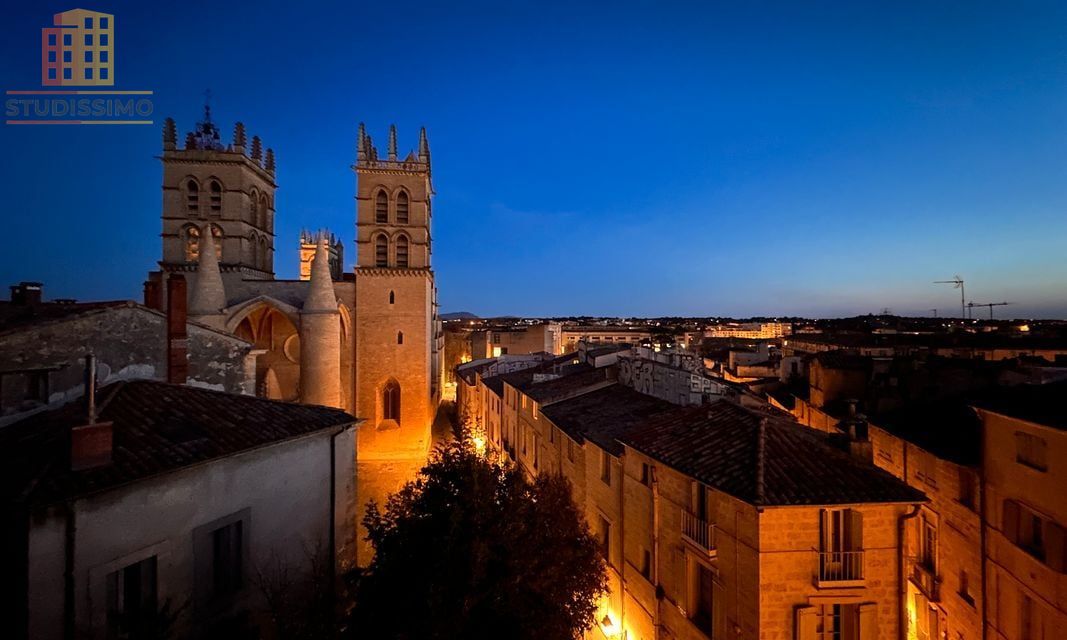 Studio 25m² Montpellier Écusson - Loggia, terrasse privée - Photo 3