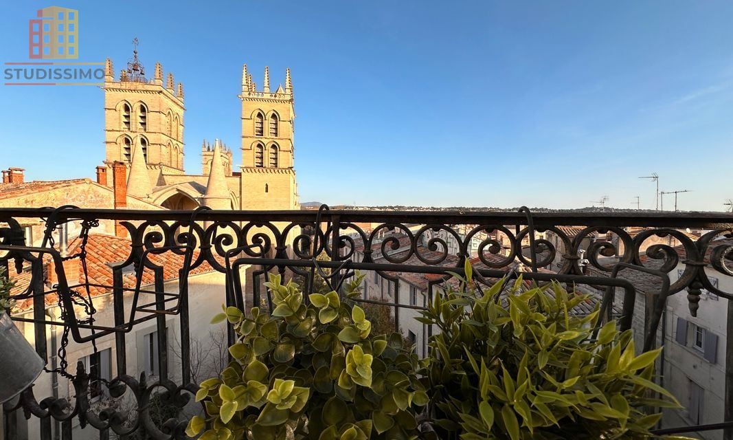 Studio 25m² Montpellier Écusson - Loggia, terrasse privée - Photo 2