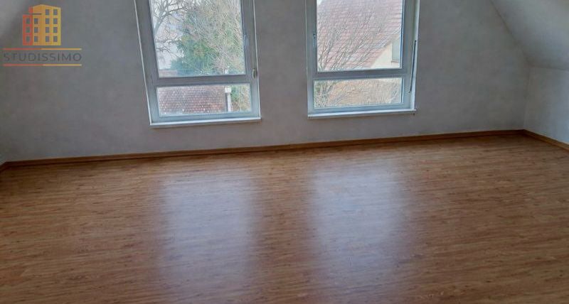 Studio 30m² Strasbourg Robertsau - Photo 1