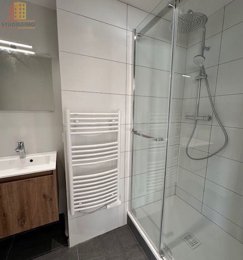 Studio 42m² Grenoble centre - Dernier étage, lumineux - Photo 2