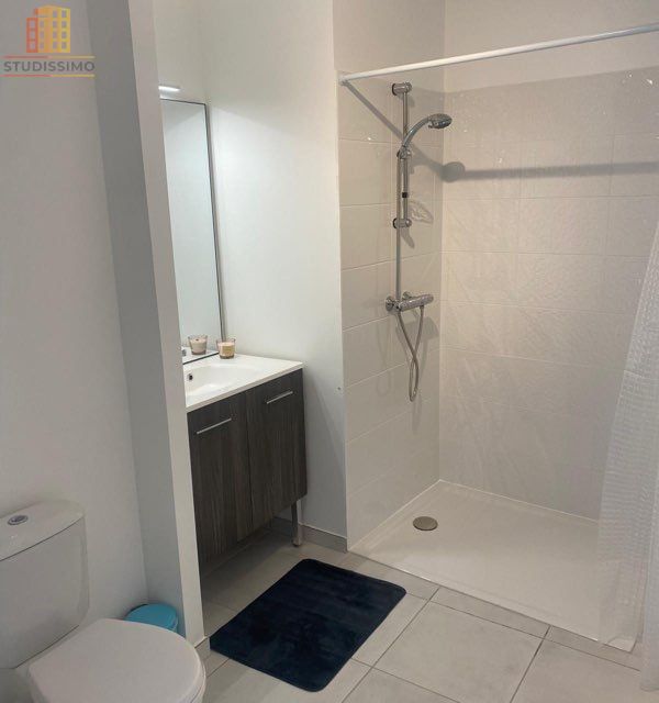 Studio 30m² Pont-de-Chéruy - DPE C, lumineux - Photo 1