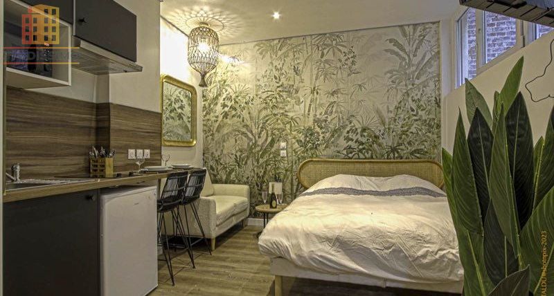 Studio 29m² Rouen centre - Jacuzzi, hammam - Photo 2
