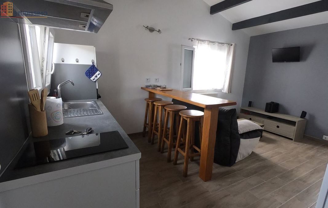 Studio meublé 24m² Saint-André-de-Corcy - Meublé, DPE D - Photo 2