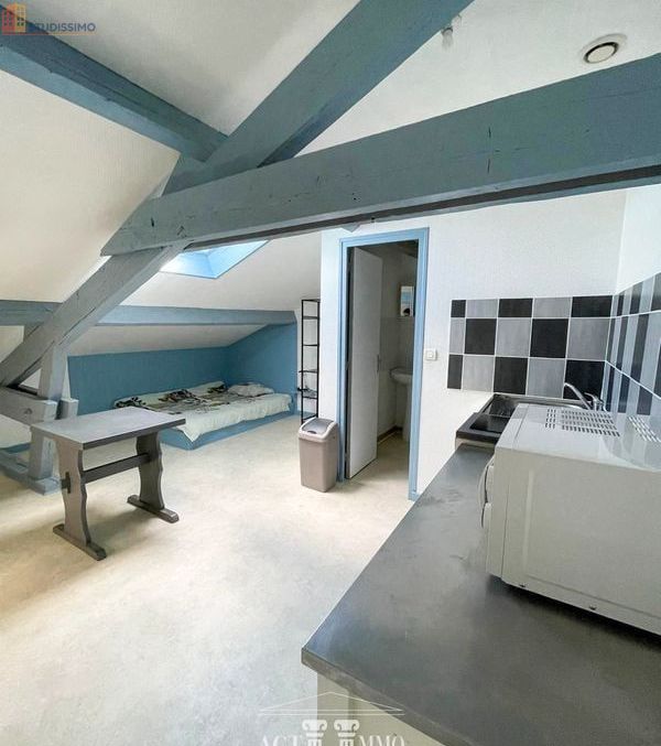 Studio meublé 14m² Bourg-en-Bresse - Meublé, DPE D - Photo 1
