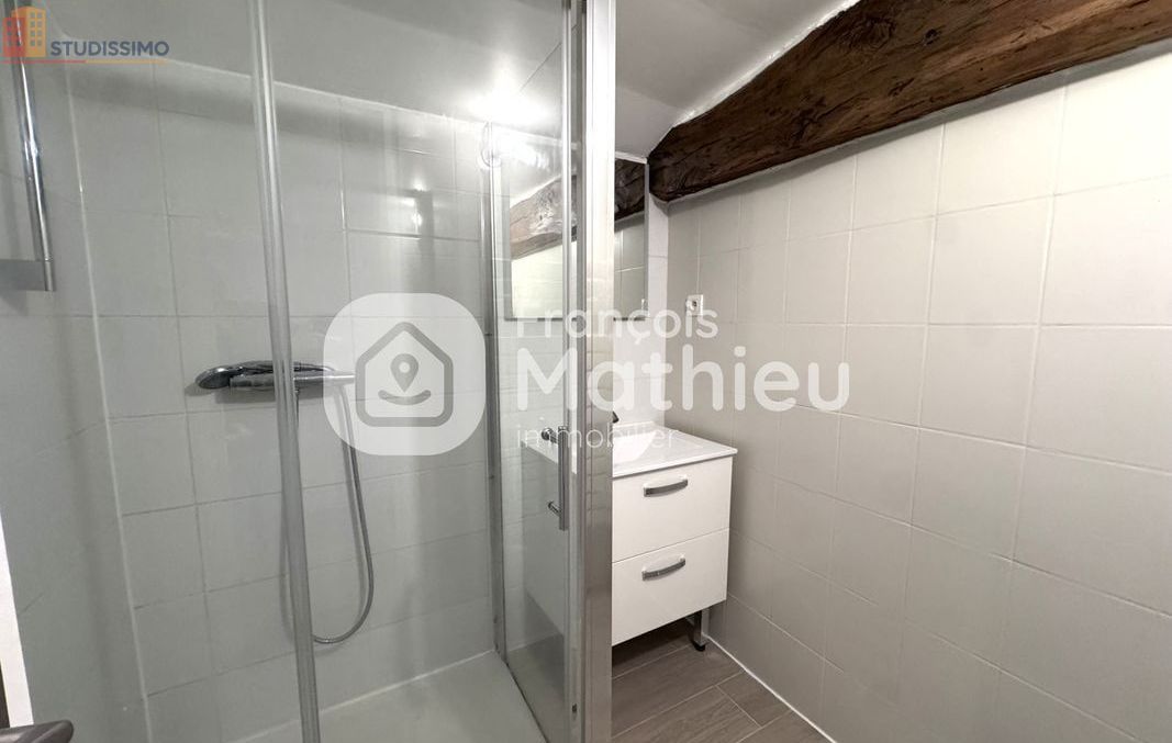 Studio 43m² Châtillon-sur-Chalaronne - Spacieux, lumineux - Photo 4