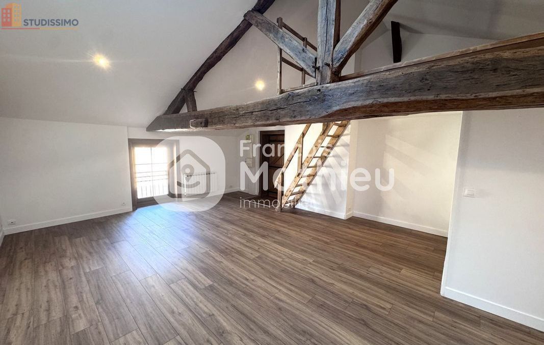 Studio 43m² Châtillon-sur-Chalaronne - Spacieux, lumineux - Photo 2