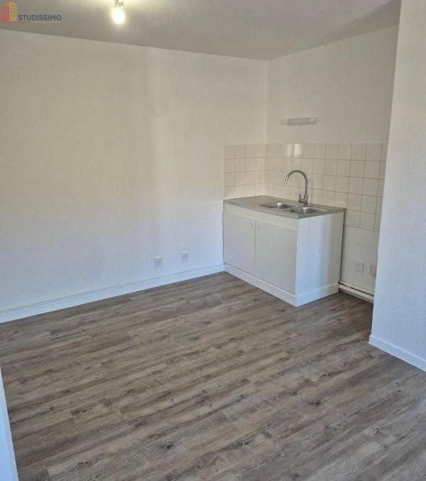 Studio 37m² Saint-Martin-du-Frêne 01430 - Photo 3