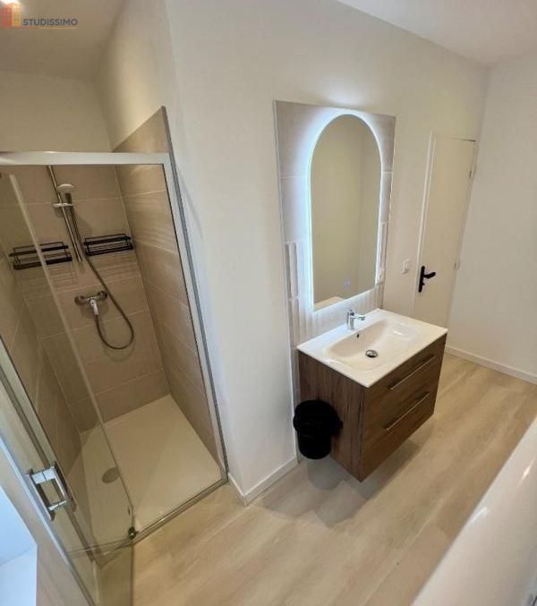 Studio meublé 110m² Valserhône 01200 - Meublé, DPE B - Photo 3