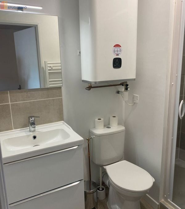 Studio 20m² Bourg-en-Bresse - Meublé, idéal étudiant/CDD - Photo 2