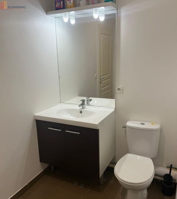 Studio 30m² Ferney-Voltaire - Proche Parc de la Tire - Photo 6