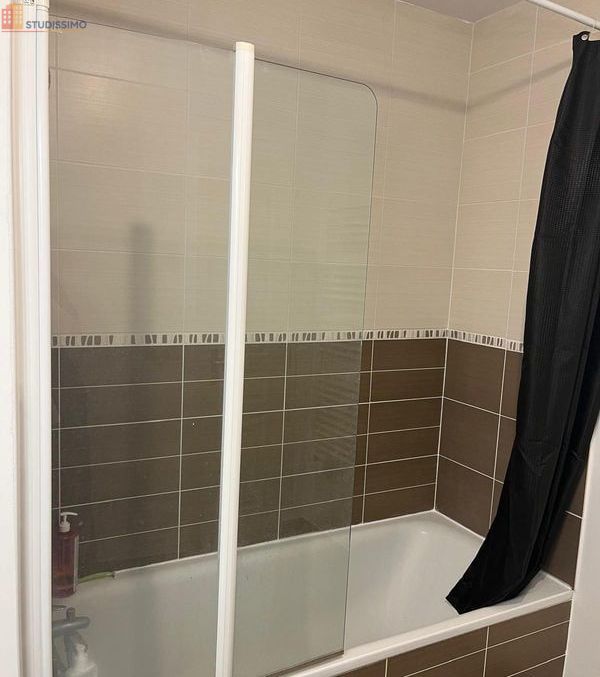 Studio 30m² Ferney-Voltaire - Proche Parc de la Tire - Photo 2