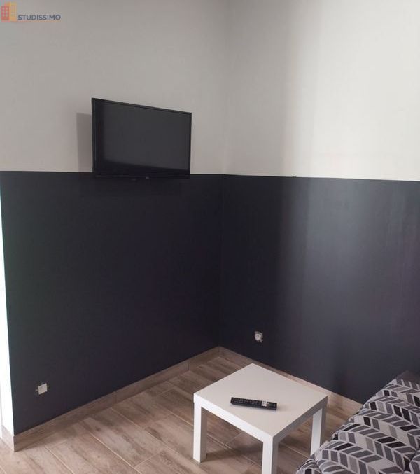 Studio 20m² Lagnieu - Proche CNPE, meublé - Photo 2