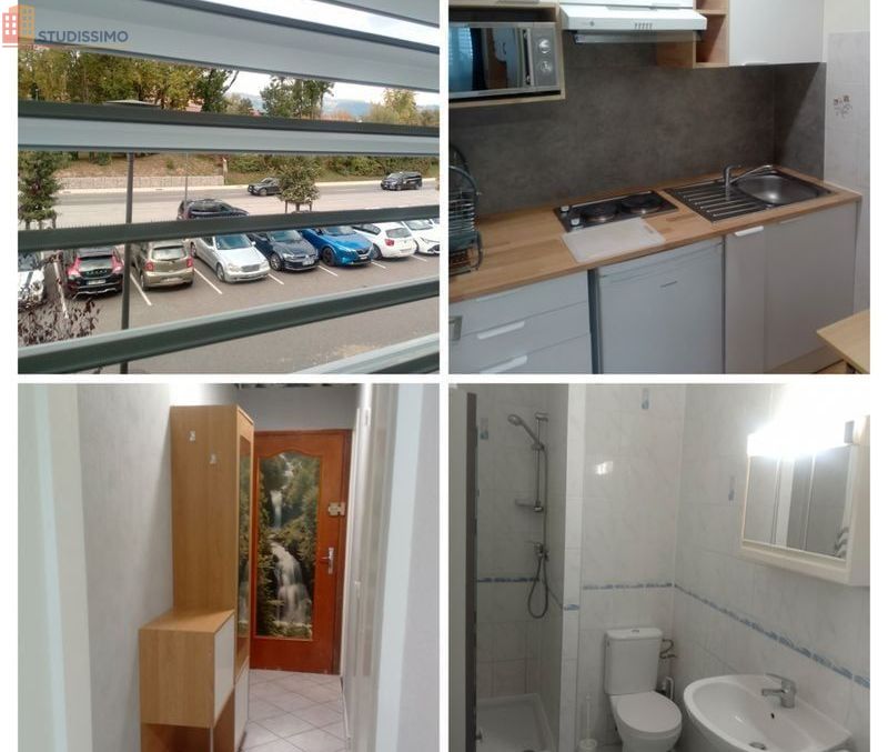 Studio meublé 34m² Ferney-Voltaire - Lumineux, 1er étage - Photo 1