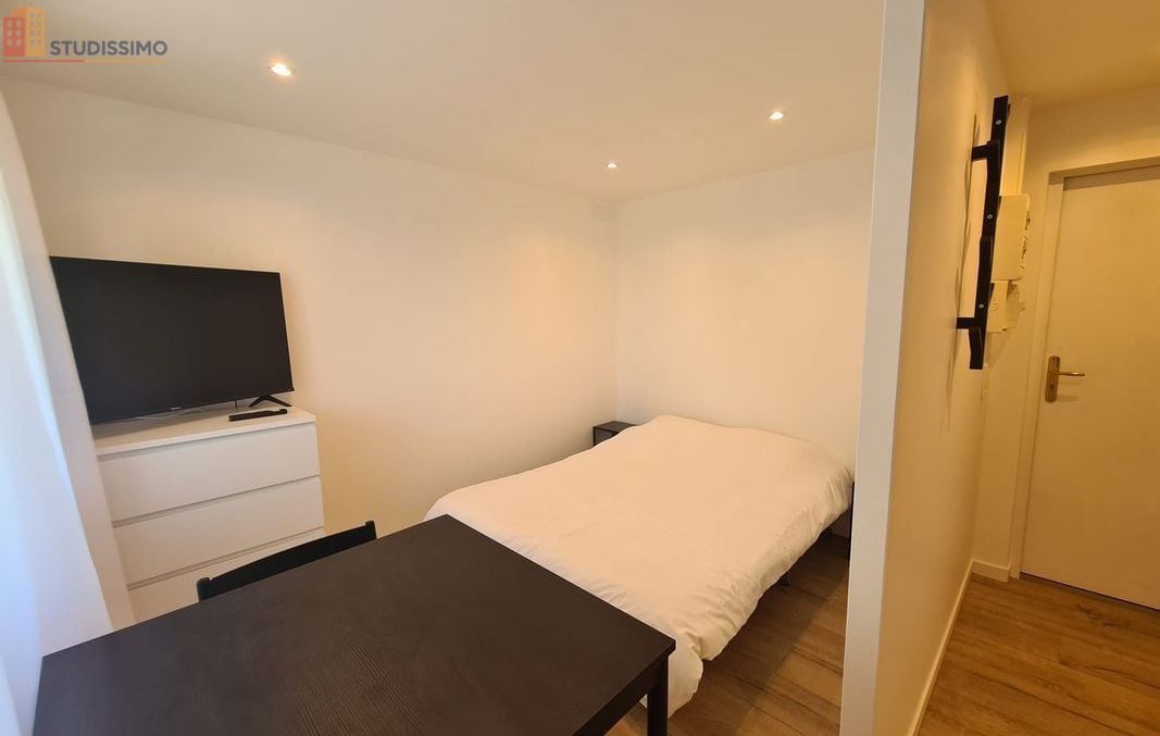 Studio meublé 17m² Cessy 01170 - Meublé, DPE C - Photo 3
