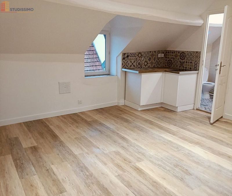 Studio 25m² Château-Thierry centre - Rénové, meublé - Photo 1