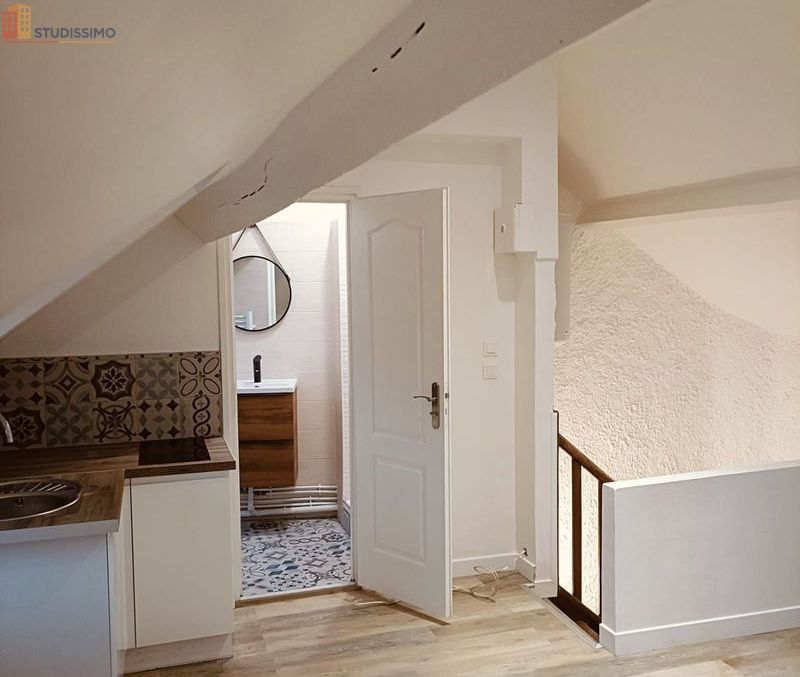 Studio 25m² Château-Thierry centre - Rénové, meublé - Photo 2