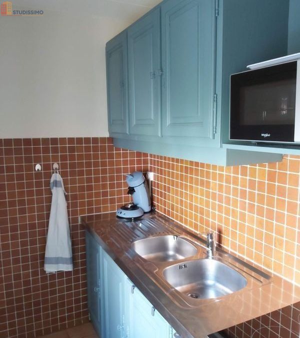 Studio meublé 18m² Vichy centre - Lumineux, calme - Photo 3