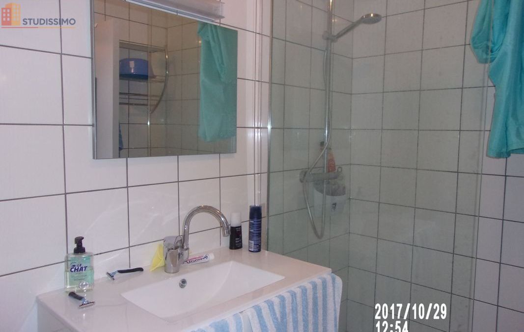Studio meublé 35m² Moulins - Lumineux, 2e étage - Photo 1