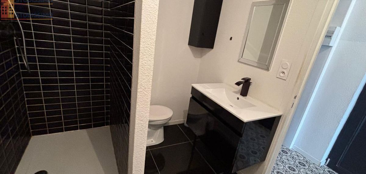 Studio meublé 26m² Vichy - Lumineux, DPE C - Photo 5