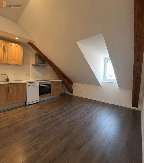 Studio 29m² Vichy 03200 - Photo 14