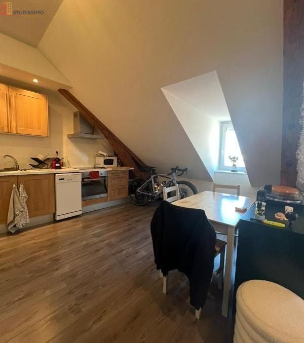 Studio 29m² Vichy 03200 - Photo 9