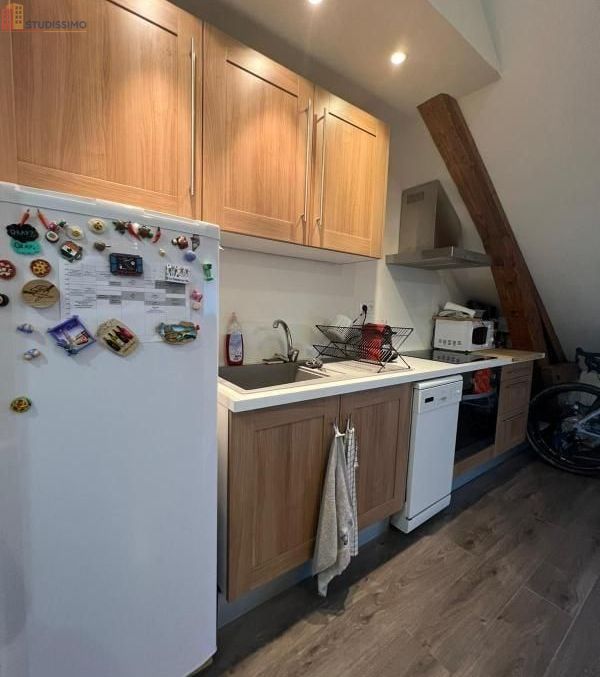 Studio 29m² Vichy 03200 - Photo 11