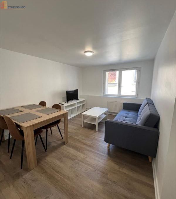 Studio meublé 28m² Vichy - Meublé, 1 pièce - Photo 11