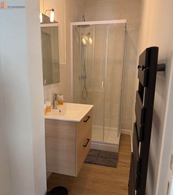 Studio meublé 21m² Vichy centre - Lumineux - Photo 1