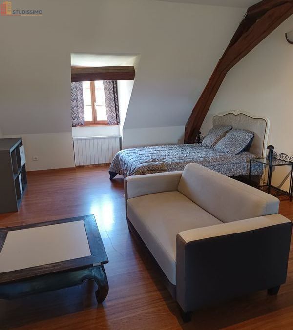 Studio 38m² Neuvy 03000 - Meublé, libre de suite - Photo 1