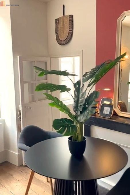 Studio meublé 38m² Montluçon 03100 - Agréable, lumineux - Photo 2