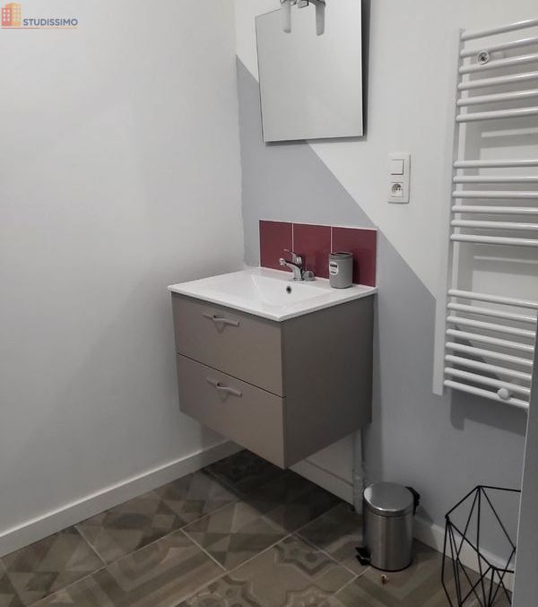 Studio meublé 18m² Vichy centre - Vieux Vichy, cosy - Photo 2