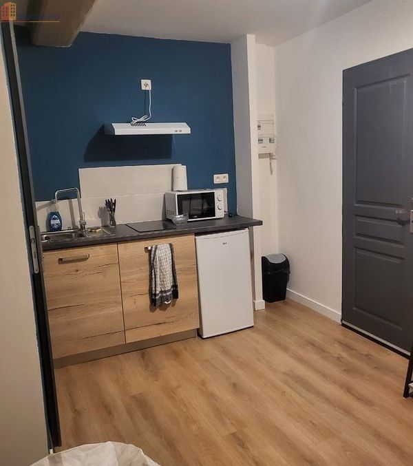 Studio meublé 18m² Vichy centre - Vieux Vichy, cosy - Photo 1