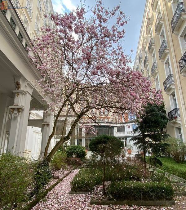 Studio à Vichy