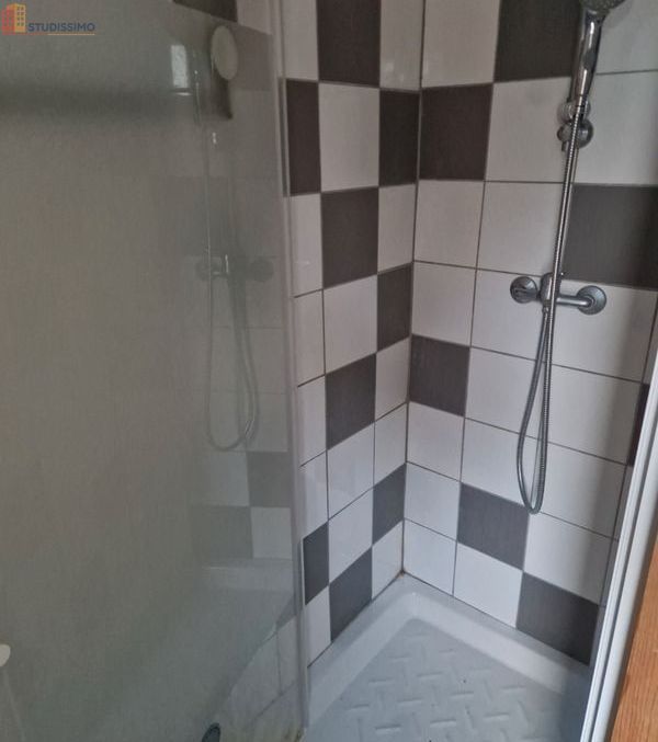 Studio meublé 25m² Forcalquier 04300 - Meublé, DPE A - Photo 1