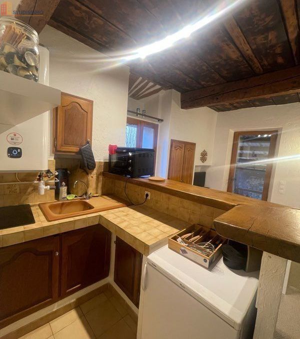 Studio meublé 17m² Saint-Étienne-de-Tinée - Meublé - Photo 1