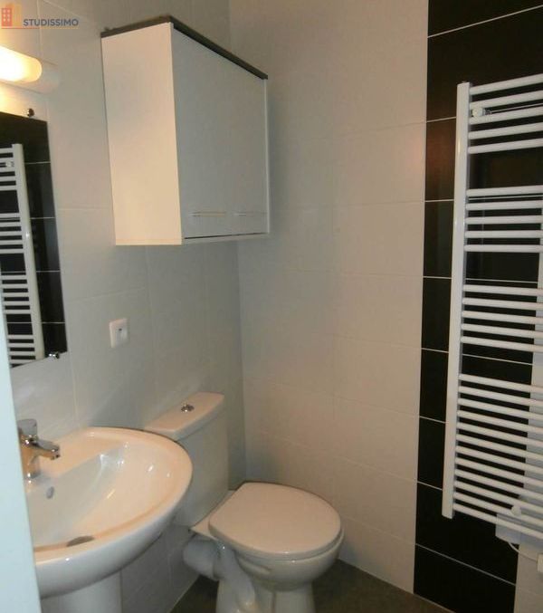 Studio meublé 20m² Tournon-sur-Rhône - Meublé, DPE D - Photo 4