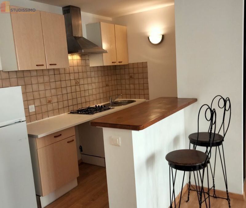 Studio 50m² Aubenas - Meublé, lumineux - Photo 1