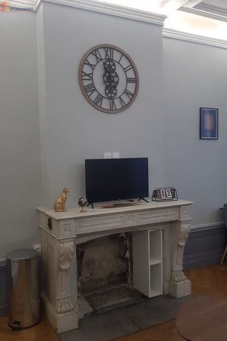 Studio 42m² Annonay - Meublé, lumineux - Photo 10