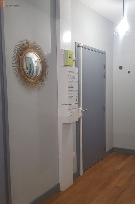 Studio 42m² Annonay - Meublé, lumineux - Photo 4