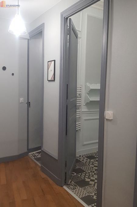 Studio 42m² Annonay - Meublé, lumineux - Photo 3