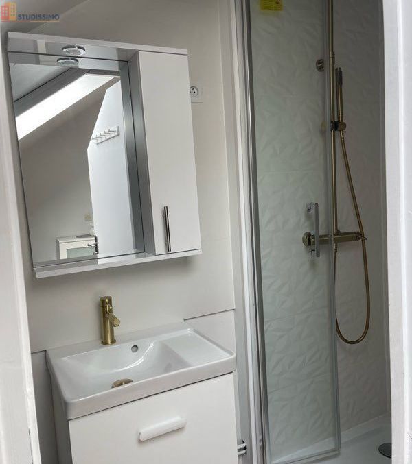 Studio meublé 18m² Bazeilles - Tout équipé, mezzanine - Photo 4