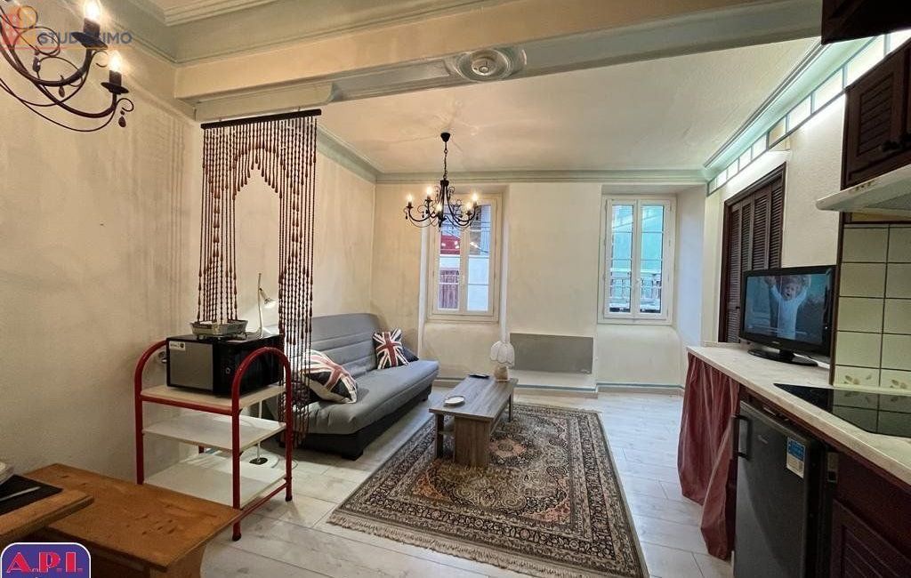 Studio meublé 23m² Tarascon-sur-Ariège - Meublé, 2e étage - Photo 3